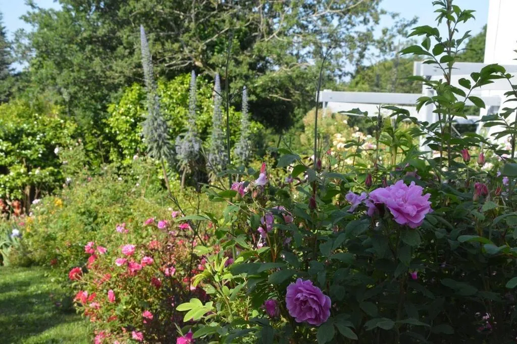   Salon de thé, jeux en Mayenne