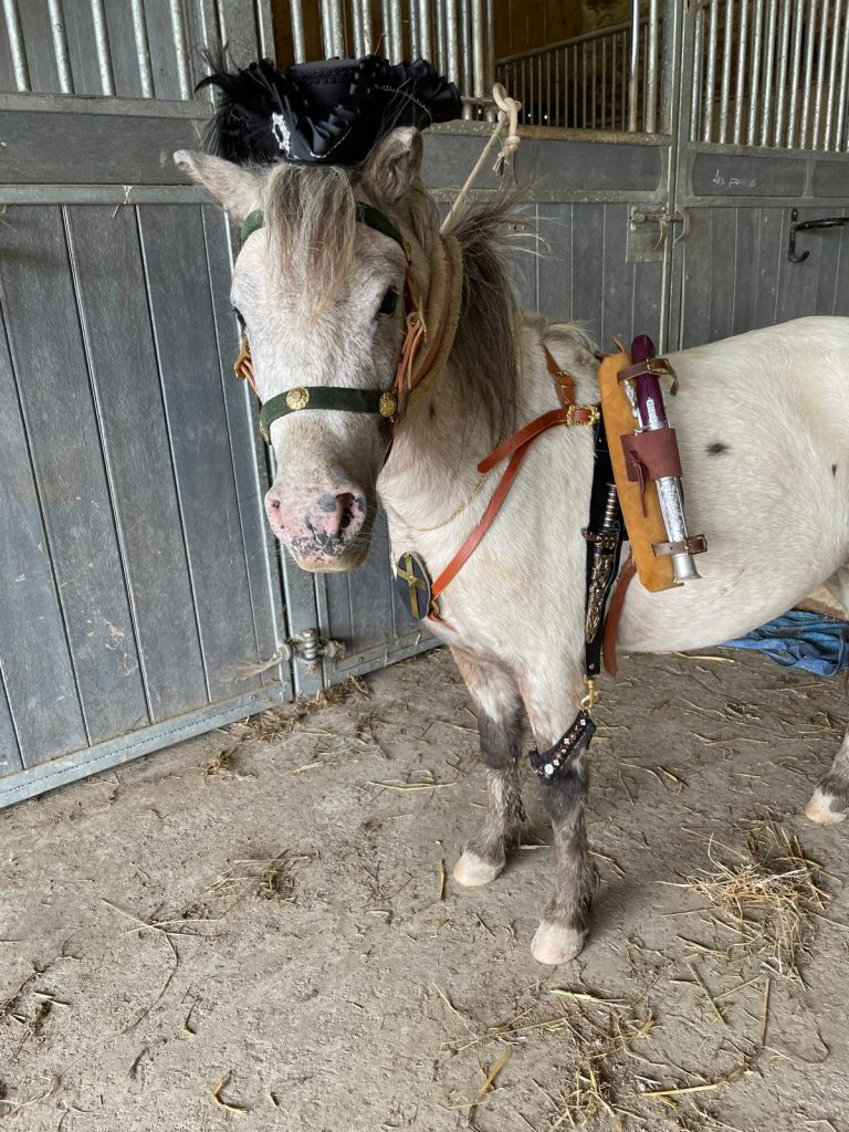 coulisses theatre equestre averton