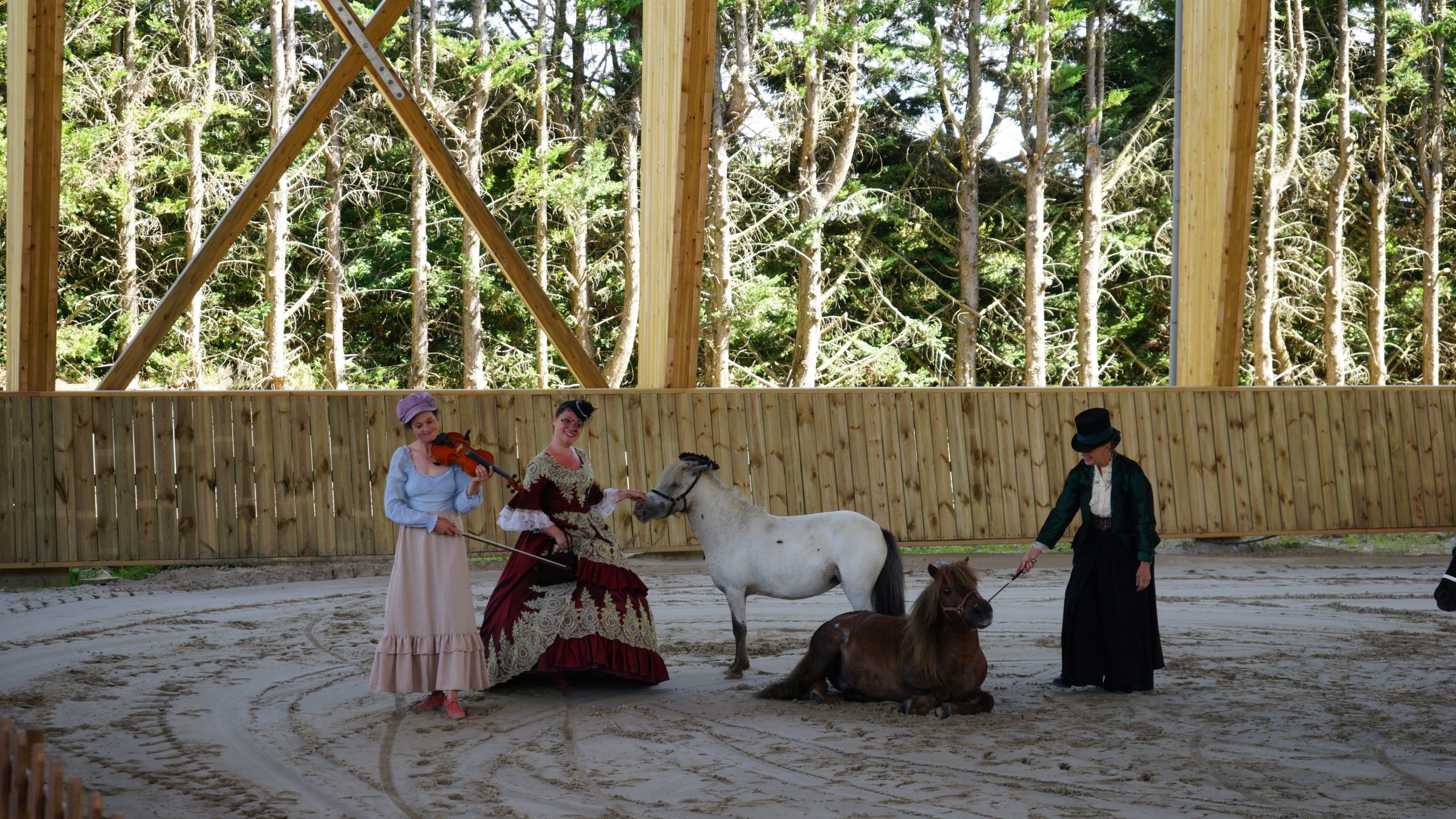 Spectacle équestre en Mayenne – Saison 2027